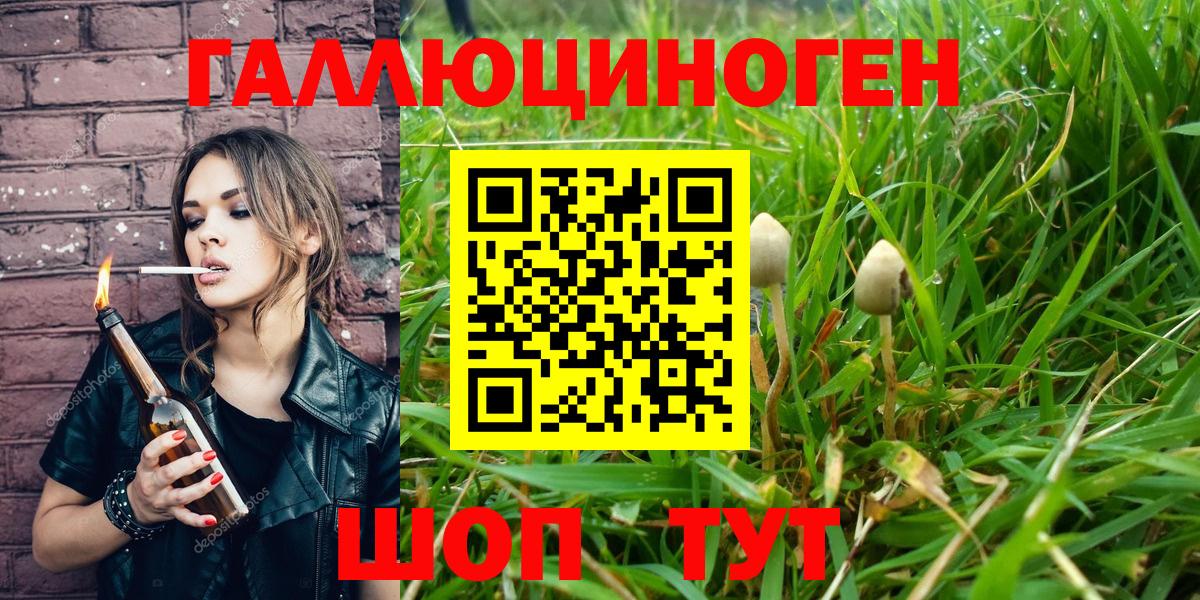 купить   Галлюциногенные грибы мицелий  Вход с VPN  Ишимбай 